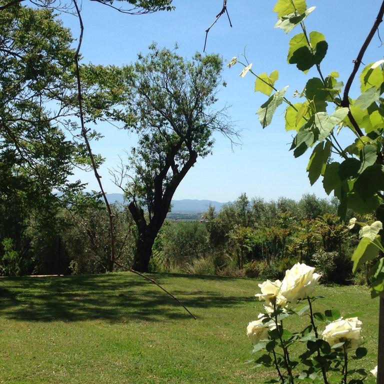 Residenza Santa Maria In Borraccia Bed & Breakfast Magliano in Toscana Luaran gambar