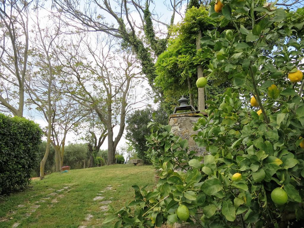 Residenza Santa Maria In Borraccia Bed & Breakfast Magliano in Toscana Luaran gambar