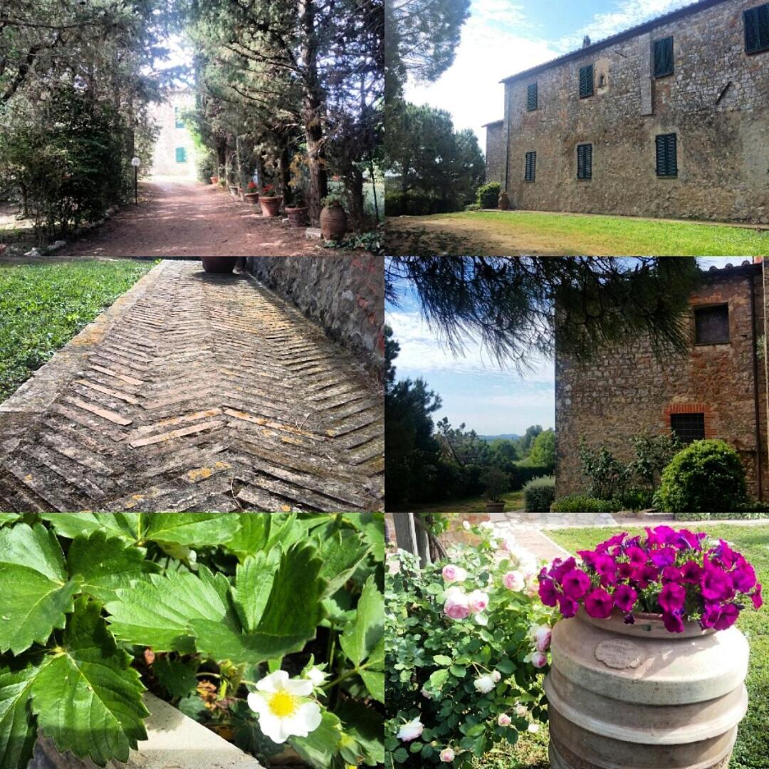 Residenza Santa Maria In Borraccia Bed & Breakfast Magliano in Toscana Luaran gambar