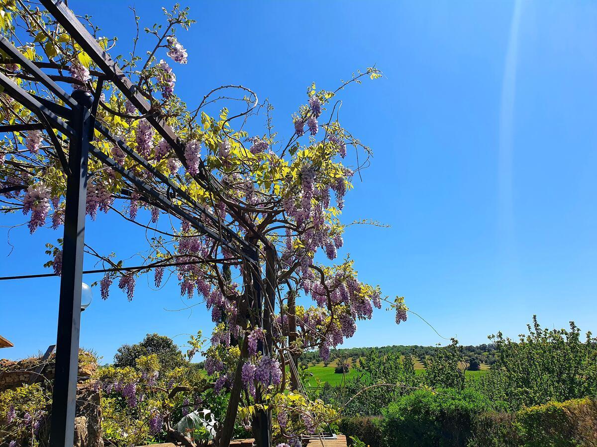 Residenza Santa Maria In Borraccia Bed & Breakfast Magliano in Toscana Luaran gambar